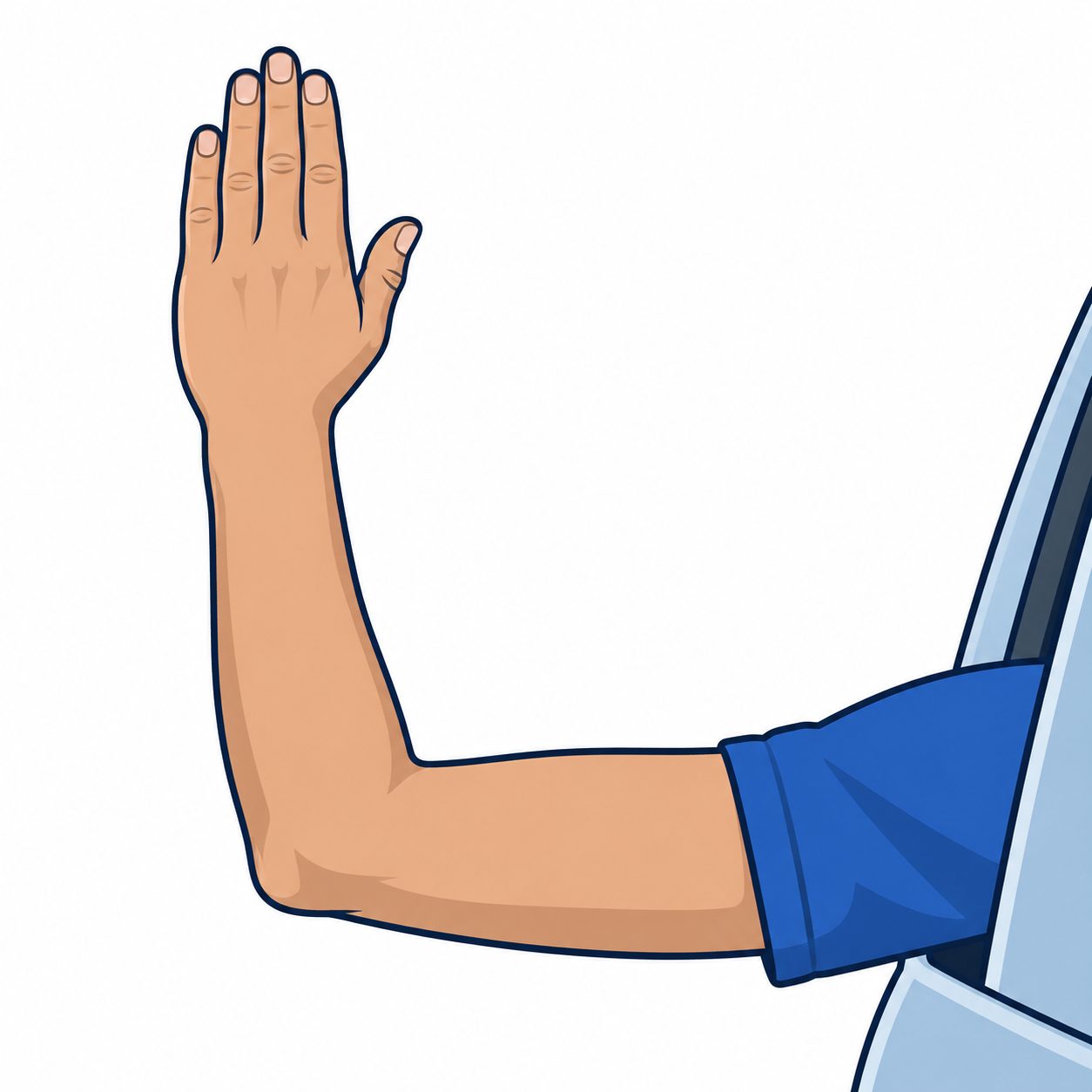 A left arm bent at the elbow, with the forearm pointing upward.